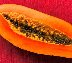Image result for Carica papaya