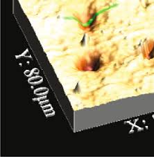 Research Article In Vitro Degradation of PHB/Bacterial Cellulose  Biocomposite Scaffolds