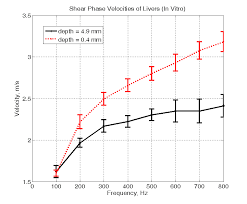 Shear Wave Propagation In Soft Tissue And Ultrasound