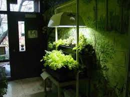 Indoor Home Garden Tips Design Bookmark 15073