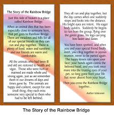 .bridge poem personalized print rainbow bridge printable pet poem animal rainbow bridge poem free rainbow bridge poem the rainbow the rainbow bridge poem rainbow bridge pet art original rainbow bridge poem dog printable cat sympathy poem rainbow bridge beyond. Pet Lover Remembrance Gift Memorial Pet Loss Picture Frame Keepsake And Sympathy Gift Package Rainbow Bridge Poem Ginger With Foil Accent Memorials Tombstones Pet Supplies Arcadiawinds Com