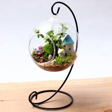 Terrarium Supplies And Ideas Hanging Terrarium Hanging Glass Vase Glass Flower Vases