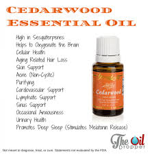 Besides this, cedarwood essential oil also contains antibacterial and antiviral properties and destroys the dirt and germs on your head, allowing hair to grow freely. Young Living Essential Oils Cedarwood Shop Young Living Essential Oils Cedarwood With Great Discounts And Prices Online Lazada Philippines