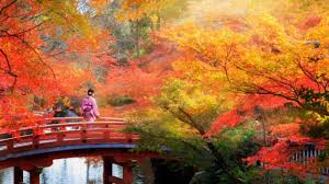 10 Best Places to See Autumn Leaves in Japan - Japan Rail Pass
