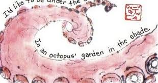Octopus Garden Song Lyrics Art Octopus Beatles Art