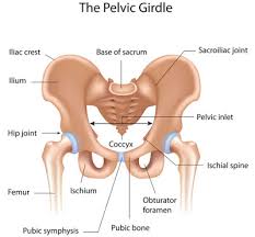 Cegah sakit punggung dengan 6 cara mudah ini. Sakit Di Bahagian Tulang Pubis Semasa Mengandung