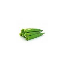 We did not find results for: Buy Okra Emerald Great Heirloom Vegetable By Seed Kingdom Bulk 2 000 Seeds Online In India 267666315
