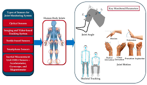 A gomphosis is an exception to the rule that joints connect bone. Sensors Free Full Text Monitoring Methods Of Human Body Joints State Of The Art And Research Challenges Html
