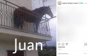 Apr 28, 2021 · comedian juan joya borja, popularly known as 'el risitas,' died in seville, spain. Whose Horse Is That And Why Is It On A Balcony The Bizarre Story Of The Juan Meme Explained Know Your Meme