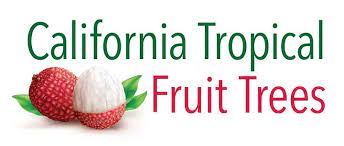 Our nursery was started in 1977 and specializes in palm trees, cycads and tropical plants. California Tropical Fruit Tree Nursery Home Facebook