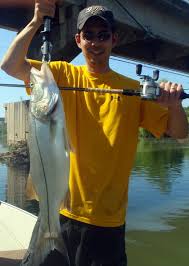 Check out bays, inlets, and residential areas. How To Catch Snook Tips For Fishing For Snook