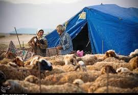 توسعه زنجیره تولید گوشت در دستور کار عشایر فارس