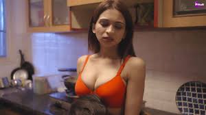Diary 2023 Primeshots App Hindi Porn Web Series Episode 1 Wowuncut 23892 |  Hot Sex Picture