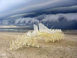 Find theo janssen credit information on allmusic. Building A Beest Fit For The Beach Science Friday
