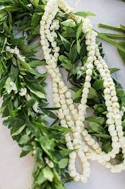 Hawaiian flower leis for weddings in hawaii here are a few examples traditional leis wedding couples have given each other or guest at their beach wedding in hawaii. Hawaiian Lei Style Pikake And Maile Bride And Groom Lei Hawaii Leis Hawaiian Leis Hawaiian Culture Haw Kauai Wedding Hawaiian Wedding Flowers Wedding Lei
