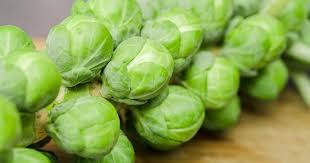 We did not find results for: Cavoletti Di Bruxelles Proprieta Caratteristiche E Curiosita