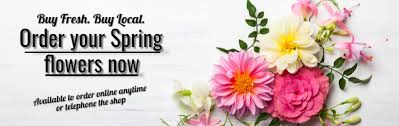 Spring Flowers Halifax Mary S Florist