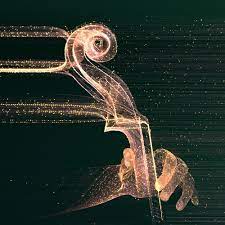 Press release 2020/2021 george enescu international competition wraps up sui generis edition wherein it reinvented itself in the global pandemic context. Program George Enescu Festival