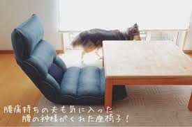 腰痛持ちの夫も気に入った 腰の神様がくれた座椅子 座椅子 シンプルな暮らし 部屋 おしゃれ