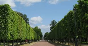 Poitiers 20100517 039 French Chateau Weddings France Landscape