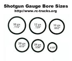 12 Gauge Shotgun Shot Size Chart Www Bedowntowndaytona Com