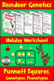 Christmas Punnett Square Worksheet Reindeer Genetics Punnett Squares Middle School Science Resources Middle School Science Teacher