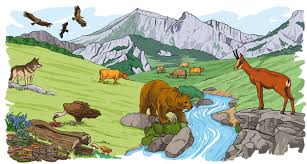 Hi, i'm emerald robinson, and in this what is video, we're going to investigate earth's ecosystems.an ecosystem is a community of living things. Ecosistema De La Zona Polar By Joelemadiz On Genially