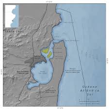 Image result for Justicia incana