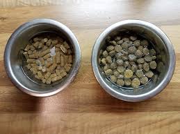 Image result for foto granulí