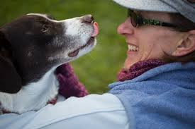 Weber County residents give thanks to the people in their lives