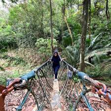 They make it properly with some. Hiking Bukit Gasing
