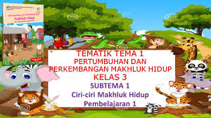 Kunci jawaban kunci jawaban buku tematik kunci jawaban buku tematik tema 7. Kelas 3 Tematik Tema 1 Pertumbuhan Dan Perkembangan Makhluk Hidup Subtema 1 Pembelajaran 1 Youtube