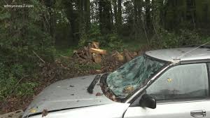 Need auto or homeowners insurance? Be Storm Smart Who Pays When Trees Fall What Insurance Covers And Storm Related Scams Newswest9 Com