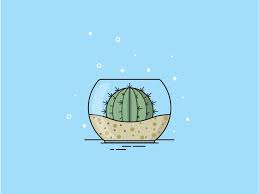 Cactus Terrarium Cactus Illustration Cactus Terrarium Cactus Vector