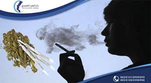 الاستروكس الفودو الفودو احد اخطر انواع المخدرات الغير طبيعة ان لم يكن اخطرها من حيث التاثير السلبي علي الصحة الجسدية والنفسية ولذا Ice Cream Food Desserts