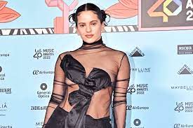 Rosalía tiene tres vías para proteger su intimidad y su propia imagen por  su foto 'fake' desnuda: civil, penal y administrativa - Confilegal