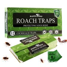 112m consumers helped this year. Greener Mindset 12 Pack Cockroach Traps Eco Friendly Glue Traps Sticky Traps Roach Killer Roaches Spiders Ant Trap Buy Online In Suriname At Suriname Desertcart Com Productid 54399091