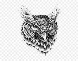 Check spelling or type a new query. Burung Hantu Gambar Ornamen Gambar Png