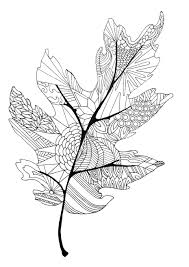 We've brought you some fall coloring pages for your kids. Fall Leaves Coloring Page