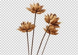 Solo tienes que desempolvar tus colores, usar algunos stickers o recortes, y dejar que la imaginación. Palos De Flores Secas Hebilla Libre Ramas Secas Decoracion Png Klipartz