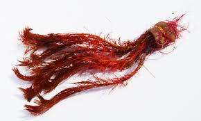 Image result for Thesium subaphyllum