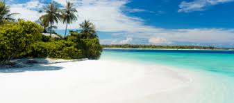 If you were ever really stranded on a deserted island, you might want to have a few things along with you. 3 Things People Would Take To A Desert Island Globelink Blog