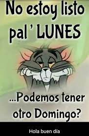 Pin De Liliana Moreno En Buenos Dias Feliz Viernes Gracioso Imagenes Para Grupo Whatsapp Frases Divertidas