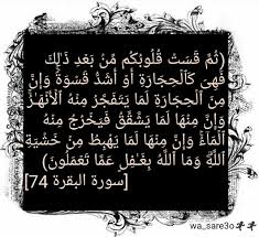 ثم قست قلوبكم من بعد ذلك فهي كالحجارة أو أشد قسوة قرآن كريم photo and video instagram photo instagram