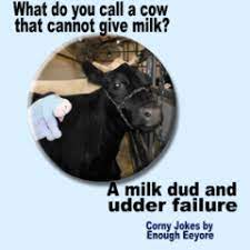 Pin On A10 Ee Corny Jokes