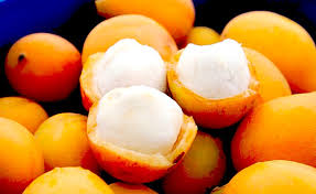 We did not find results for: Fruits In The World Fruits Name Starts With The Letter A