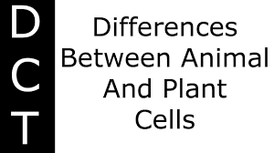 Maybe you would like to learn more about one of these? Ks3 Biology Lessons Blendspace