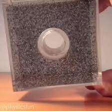 F King Magnets How Do They Work Funny Photoshop Pictures Funny Photoshop Human Experience
