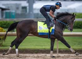 Check spelling or type a new query. What Horses Are Possible Contenders For The 2021 Preakness Stakes