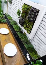 Capel Manor College Tropical Show Garden Including A Water Feature Rill With Alpine Plants And Candles Love Small Garden Design Garden Design Small Gardens